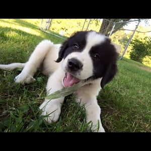 Meet your Posher, Scott